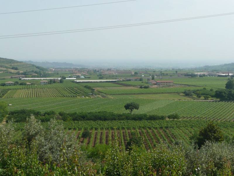 immagine annuncio 3 di 8