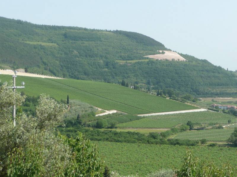 immagine annuncio 5 di 8