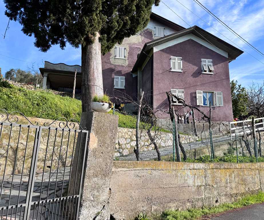  - foto 42
