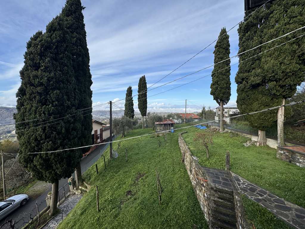  - foto 43
