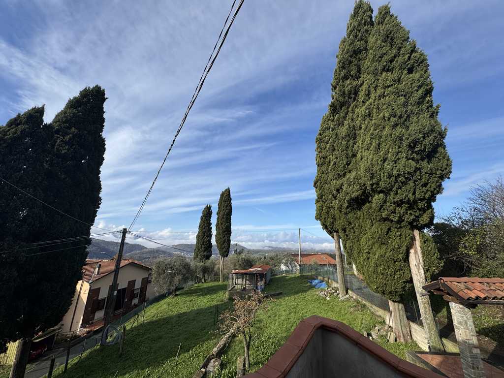  - foto 49