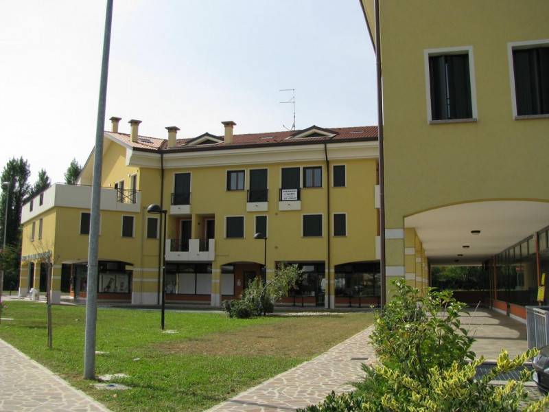 immagine annuncio 4 di 7