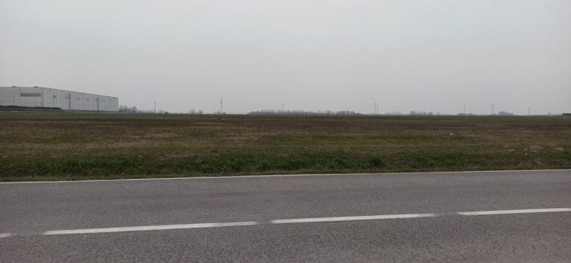 immagine annuncio 3 di 8