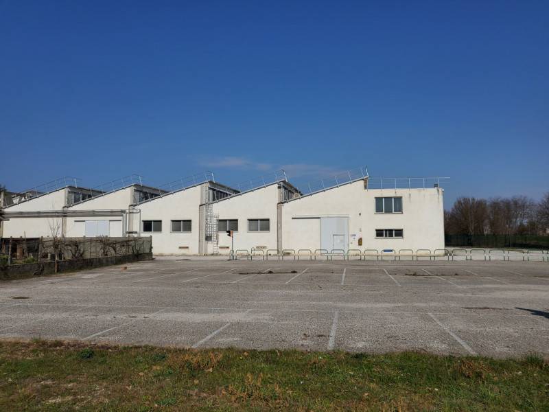immagine annuncio 4 di 9