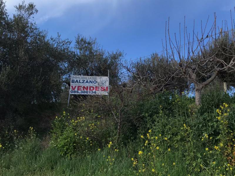 immagine annuncio 5 di 6