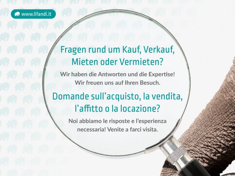 immagine annuncio 2 di 9
