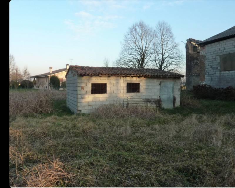 immagine annuncio 6 di 8