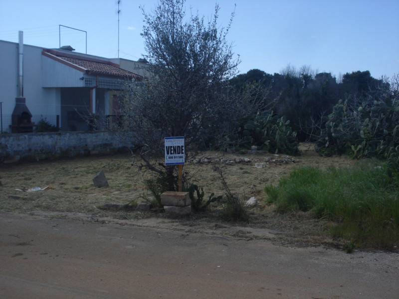 immagine annuncio 2 di 4