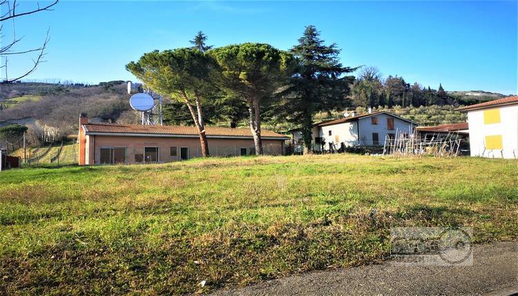 immagine annuncio 2 di 4