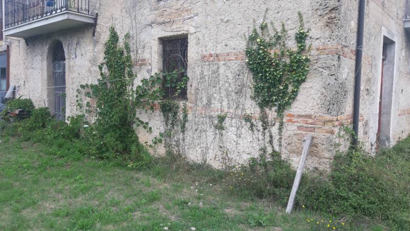 immagine annuncio 1 di 7