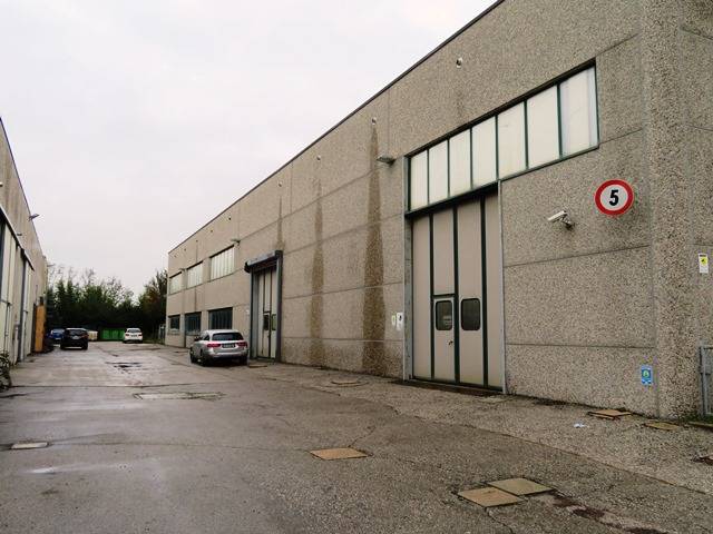 immagine annuncio 4 di 10