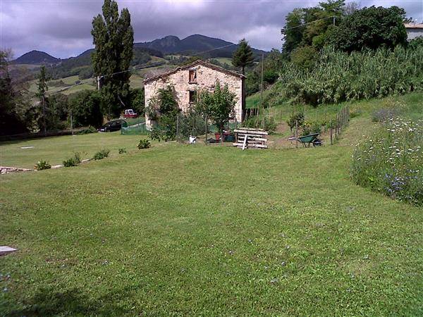 immagine annuncio 3 di 8