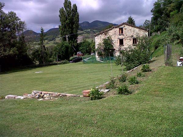 immagine annuncio 7 di 8