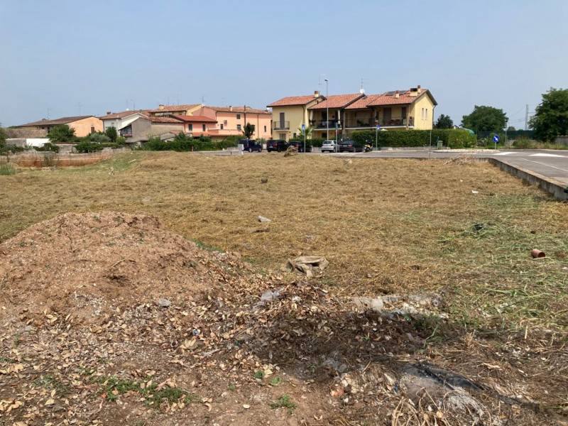 immagine annuncio 3 di 8