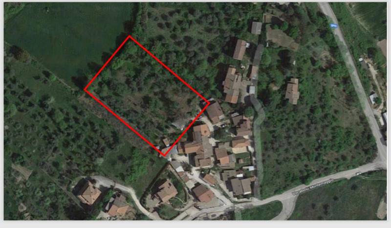 immagine annuncio 1 di 2