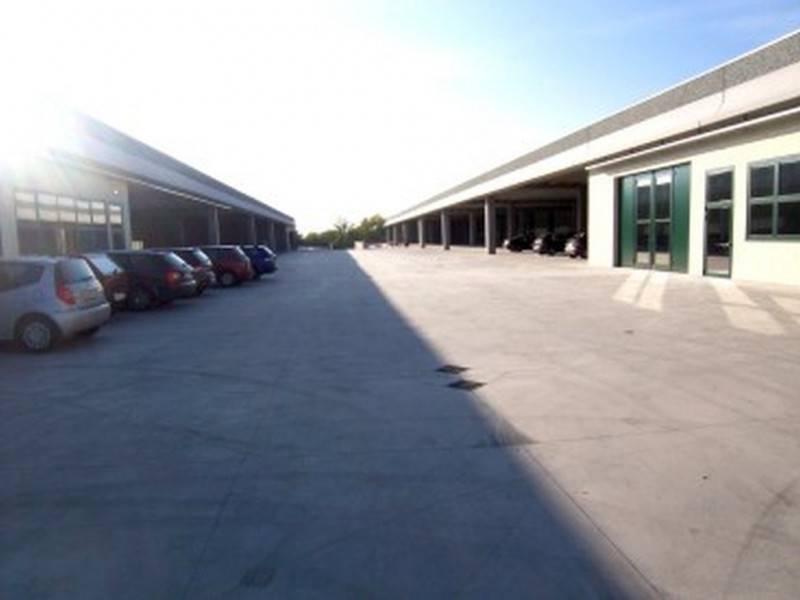 immagine annuncio 3 di 8