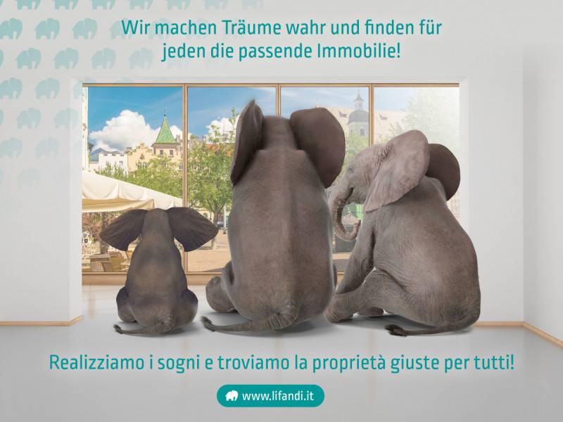 immagine annuncio 1 di 10
