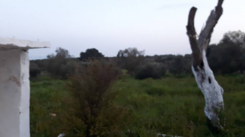 immagine annuncio 5 di 8