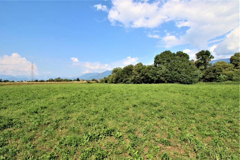immagine annuncio 1 di 2