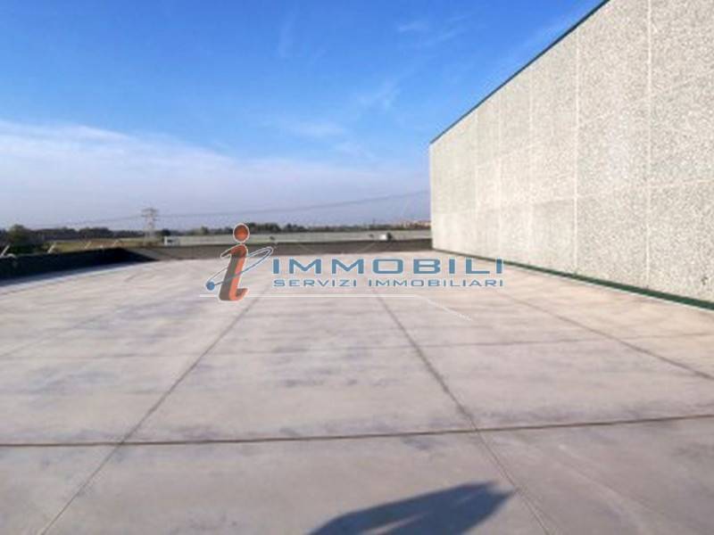 immagine annuncio 5 di 8