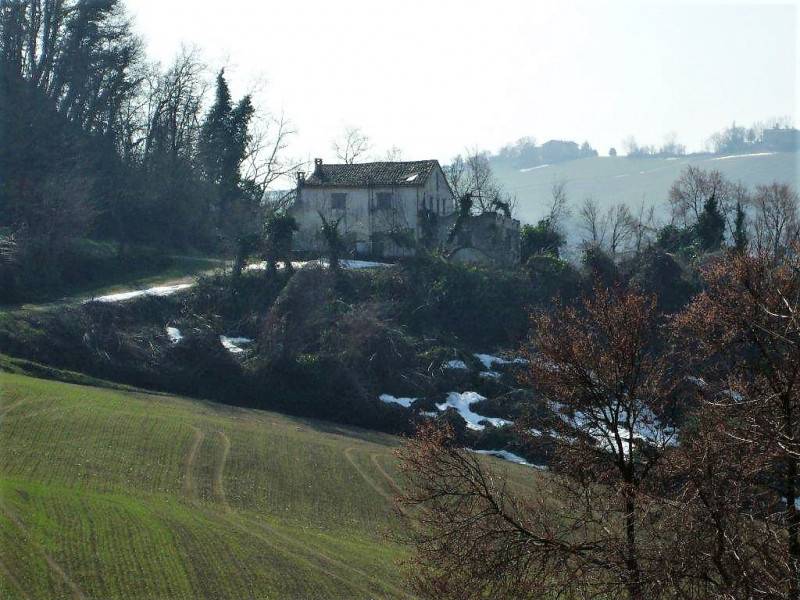 immagine annuncio 5 di 6