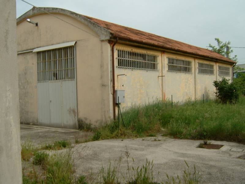 immagine annuncio 2 di 6