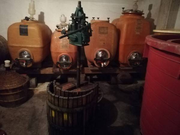 immagine annuncio 4 di 10
