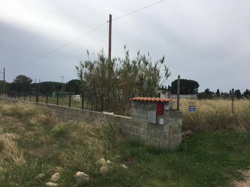 immagine annuncio 2 di 4