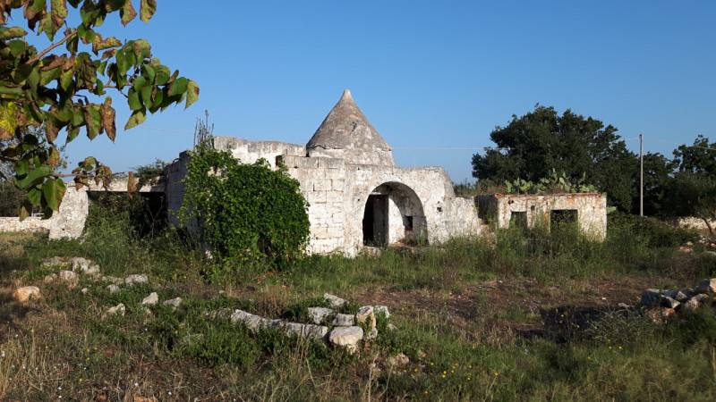 immagine annuncio 2 di 10