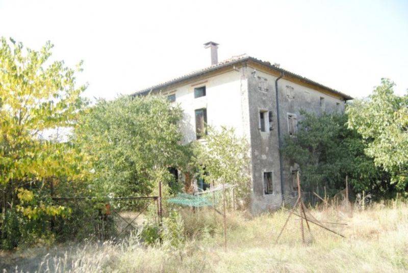 immagine annuncio 3 di 6