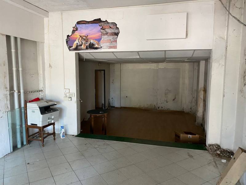 immagine annuncio 3 di 6