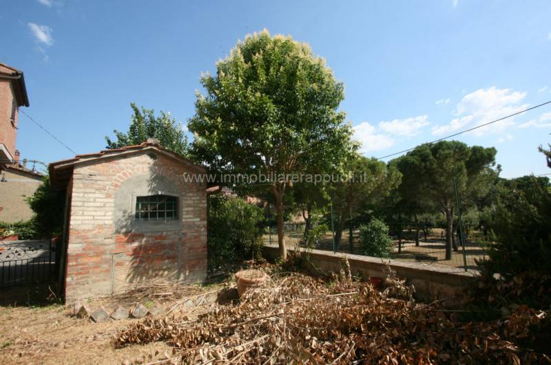 immagine annuncio 5 di 6