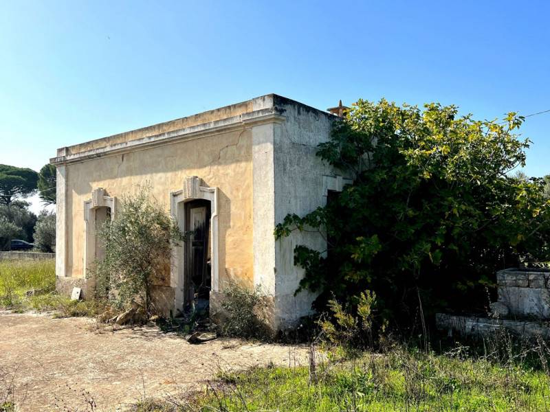 immagine annuncio 2 di 10