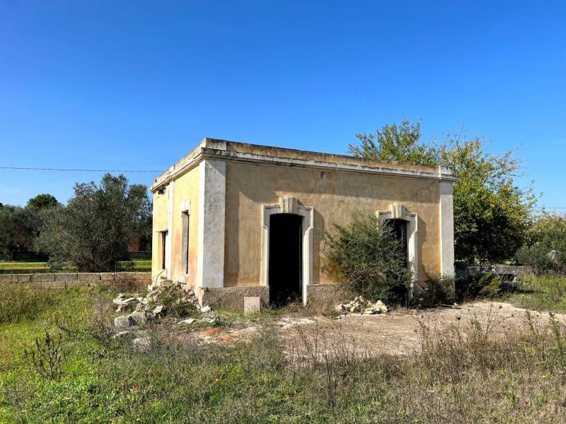 immagine annuncio 6 di 10