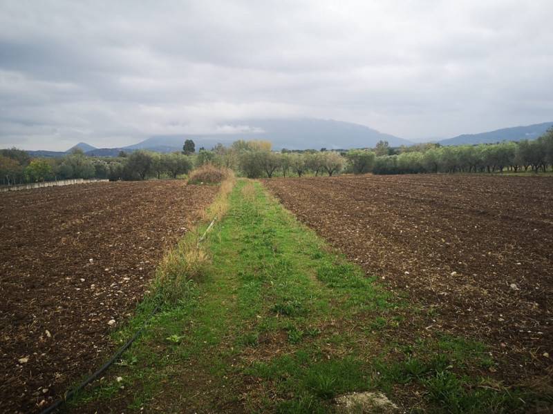 immagine annuncio 5 di 7