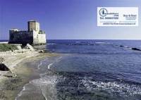 immagine annuncio 3 di 8