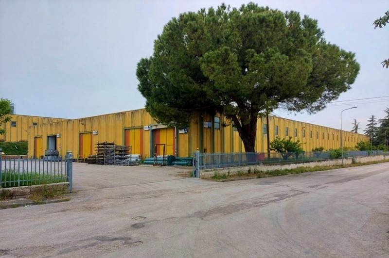 immagine annuncio 7 di 10