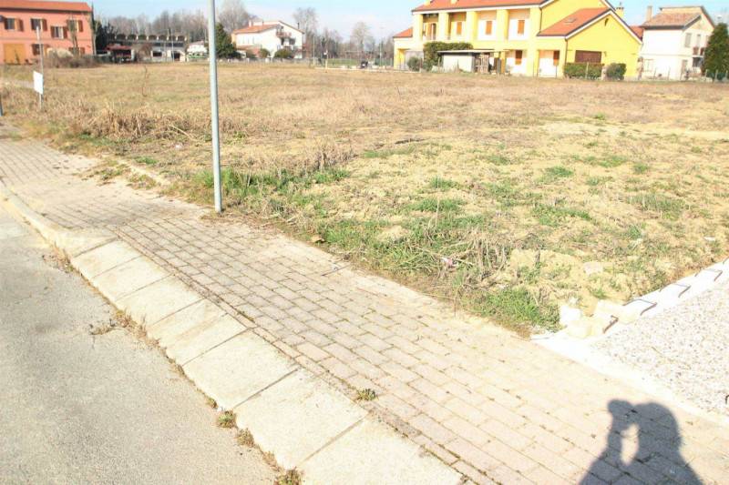 immagine annuncio 3 di 6