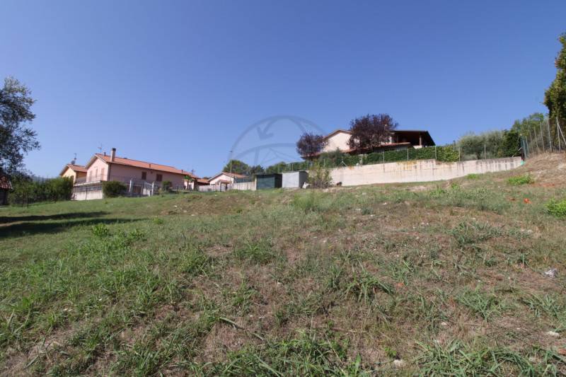 immagine annuncio 3 di 8