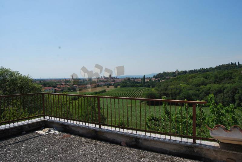 immagine annuncio 3 di 8