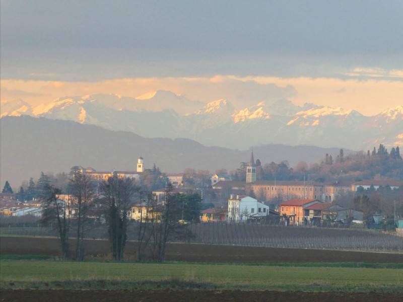 immagine annuncio 4 di 8