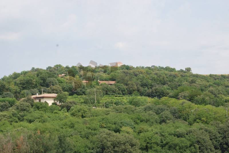 immagine annuncio 5 di 8