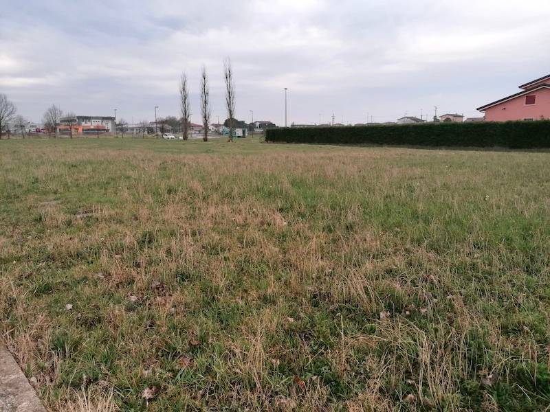 immagine annuncio 2 di 3