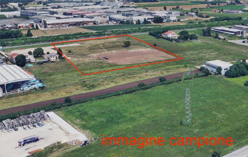 immagine annuncio 1 di 8