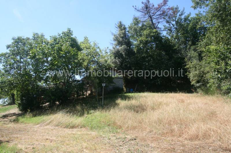 immagine annuncio 5 di 8