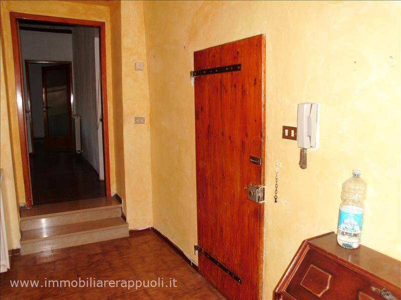 immagine annuncio 2 di 8