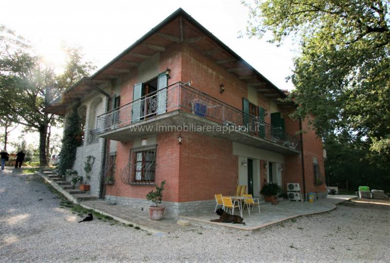 immagine annuncio 6 di 9