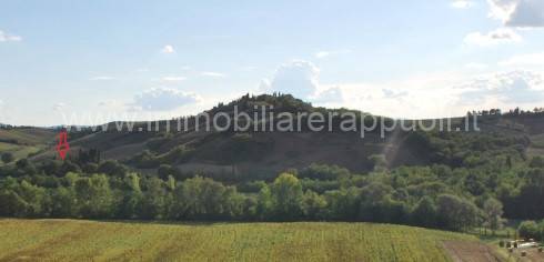 immagine annuncio 3 di 8