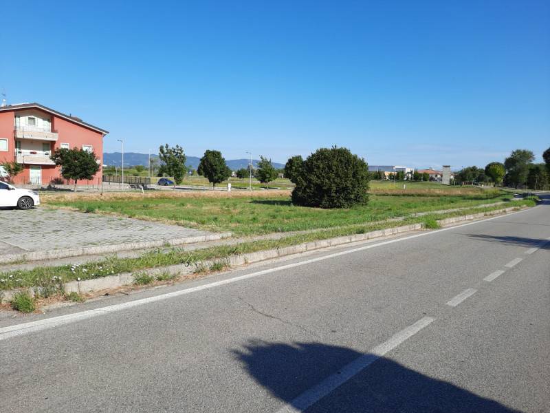 immagine annuncio 1 di 8