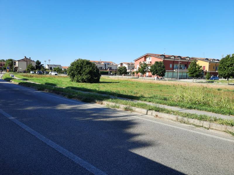 immagine annuncio 4 di 8